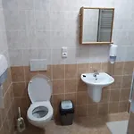 Sněženka