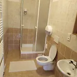 Sněženka 3* Jiretin pod Bukovou