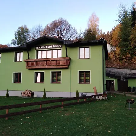 Penzion Sněženka 3*