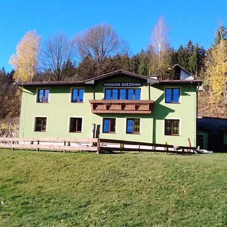 Sněženka Jiretin pod Bukovou